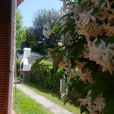Versilia Cinquale