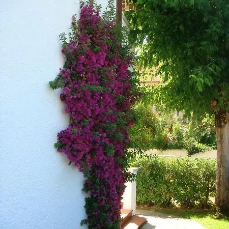 Holiday home Versilia