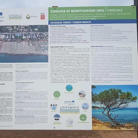 Versilia * Cinquale